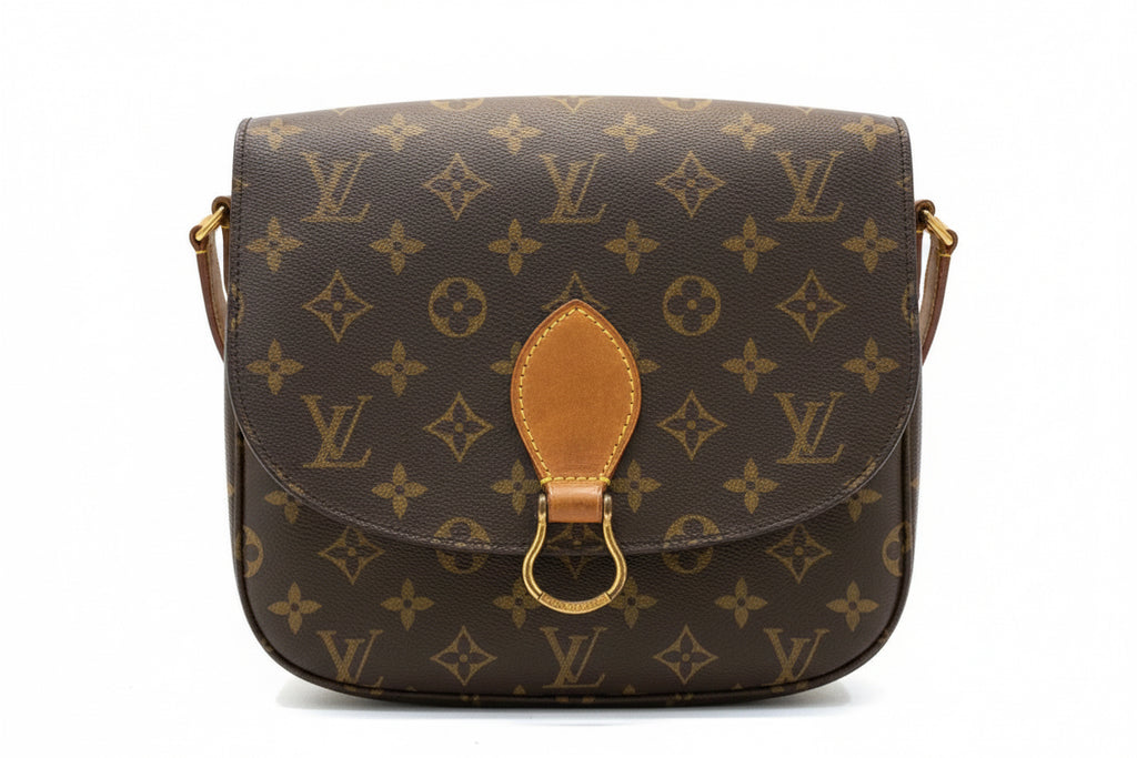 LV ST cloud crossbody bag