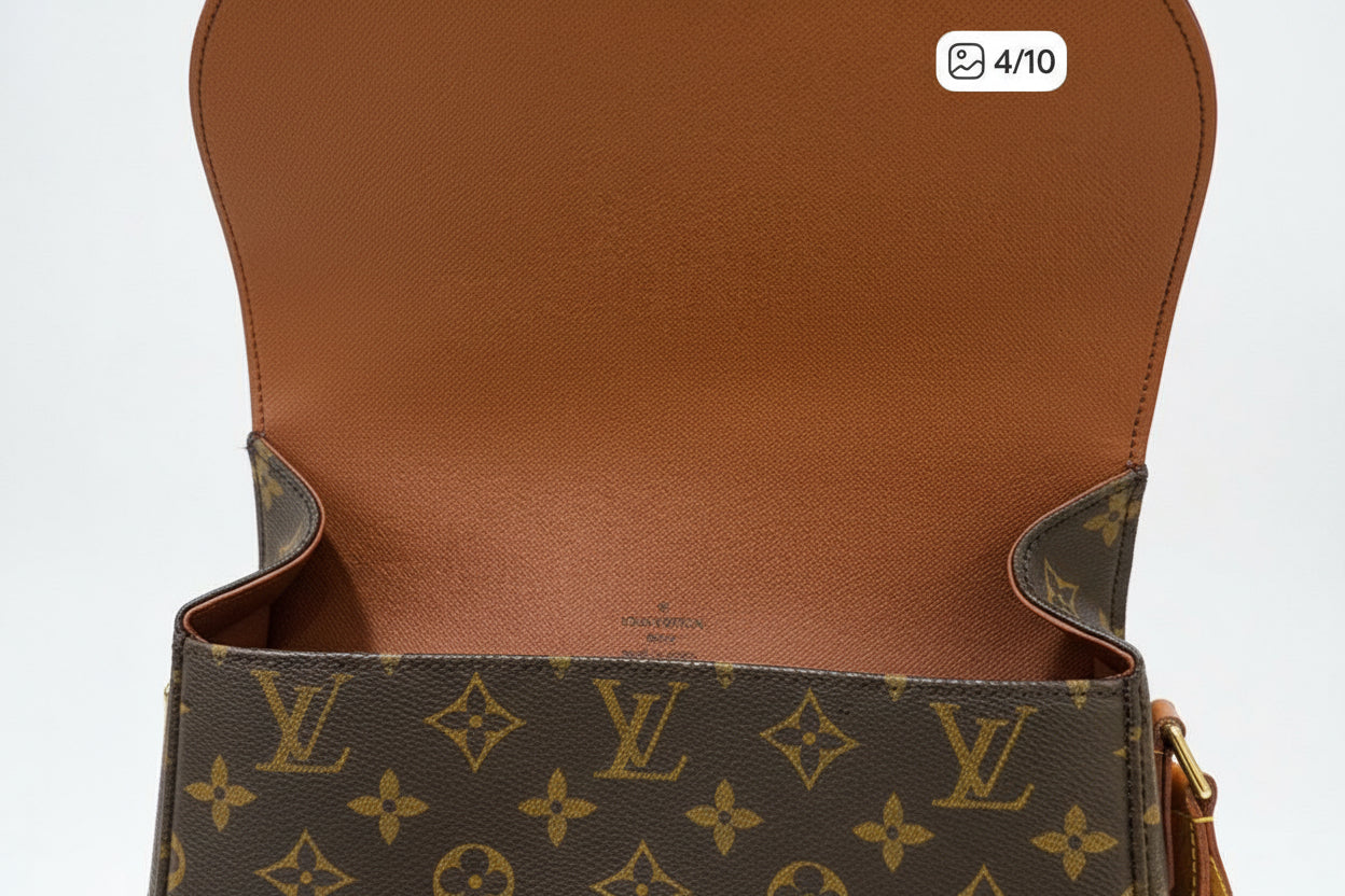 LV ST cloud crossbody bag